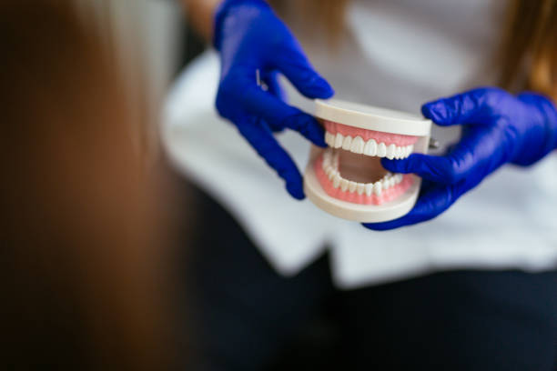 Professional Holistic Dental Care Services in Bath, PA
